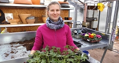 Das Foto zeigt eine Auszubildende in der Stadtgärtnerei mit einer Palette frisch getopfter Pflanzen. © DBM, Sonja Stender