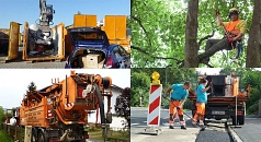 Das Foto zeigt vier der Dienstleistungen des DBM: Entsorgung, Baumpflege, Kanalreinigung und Straßenbau.