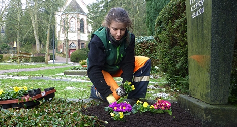 Das Foto zeigt eine Gärtnerin des DBM beim Bepflanzen eines Grabes mit Primeln. © DBM, Sonja Stender