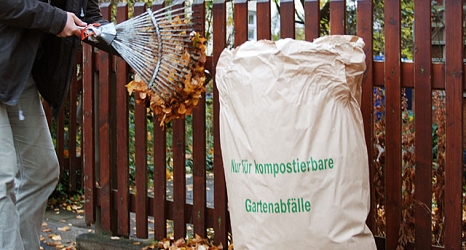 Das Foto zeigt einen fast vollen Laubsack, der mit Hilfe eines Laubrechens befüllt wird. © Universitätsstadt Marburg