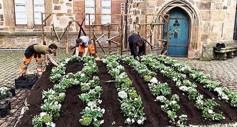 Das Foto zeigt drei Beschäftigte des DBM beim Bepflanzen des Marburg800 Beets vor dem Rathaus. © DBM, Sonja Stender