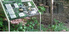 Das Foto zeigt eine Schautafel auf dem Dammelsberg.
